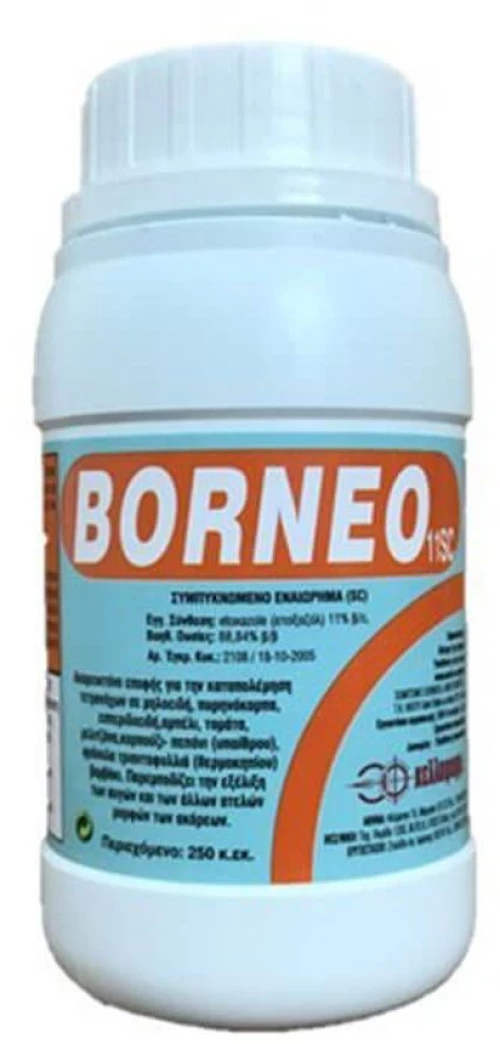 Borneo 11SC | 300cc