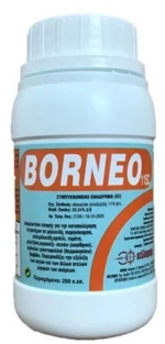 Borneo 11SC | 300cc