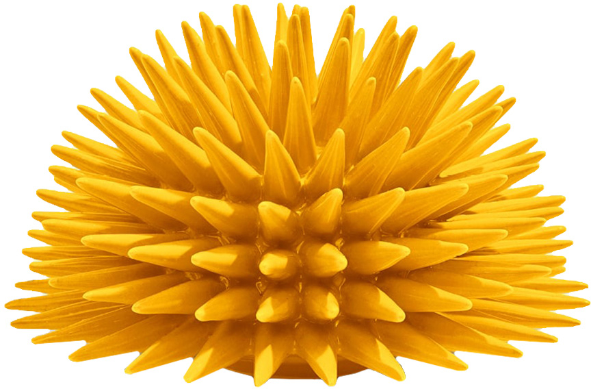 Διακοσμητικό Χώρου Ricciocaprese Riccio Decor Yellow