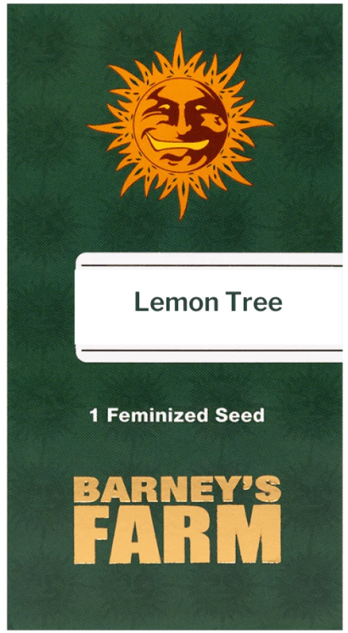 Barneys Lemon Tree - 1 seed