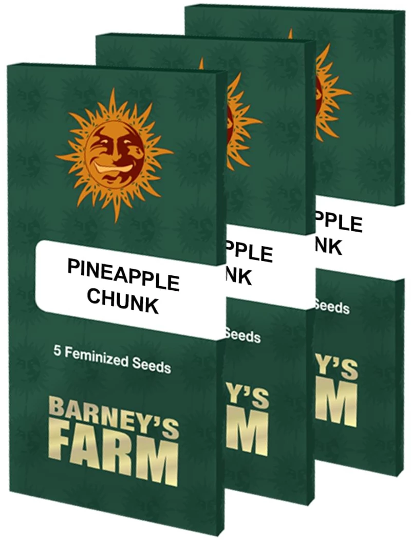 Barneys - Pineapple Chunk - 5 seeds