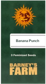 Barneys - Banana Punch - 3 seeds