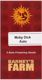 Barneys - Moby Dick - 3 seeds