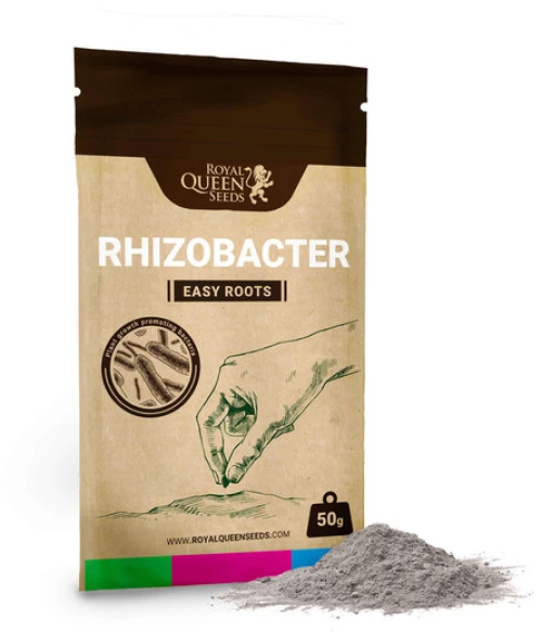 RQS Easy Roots Rhizobacter - 50gr
