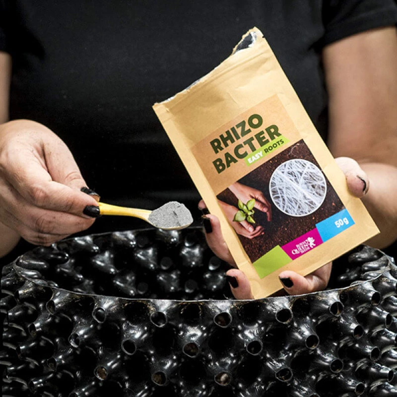 RQS Easy Roots Rhizobacter - 50gr