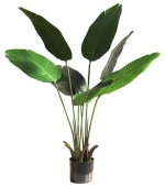 BANANA TREE NP1410_120  ΥΨΟΣ 120cm New Plan