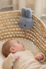 Μουσικό Κουτί Fluffy Ραφ Miffy