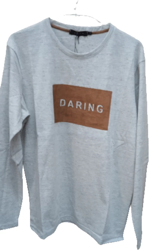 Μπλούζα ανοιξιάτικη ανδρική DARING γκρι