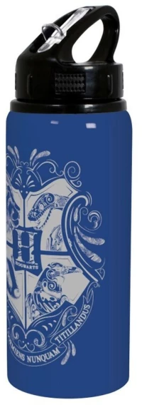 Stor Harry Potter - Blue Sport Metal Bottle (710ml)
