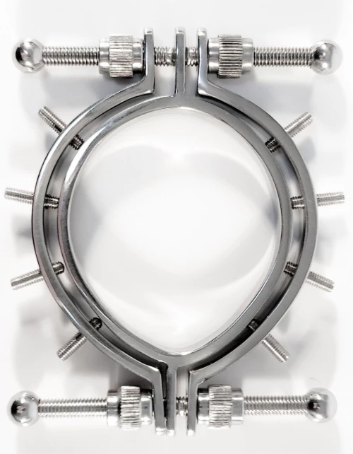 Stainless Steel Pussy Clamps With Spikes