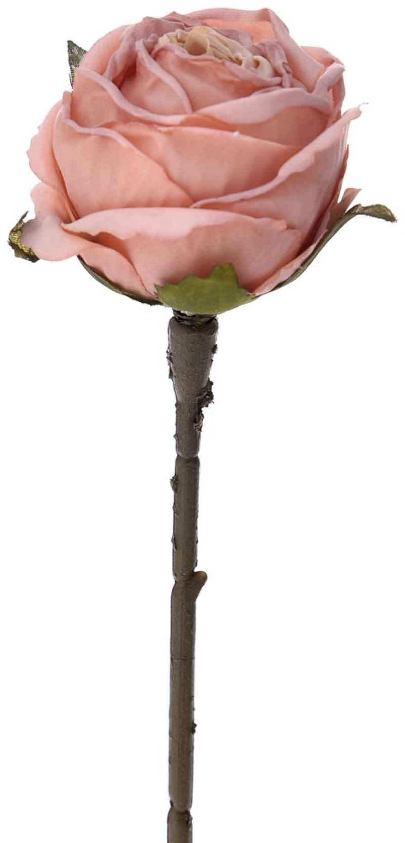 ΡΟΖ ΚΛΑΔΙ ΤΡΙΑΝΤΑΦΥΛΛΟ 28 cm (#73990)
