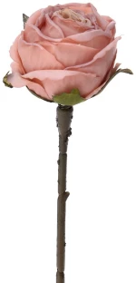 ΡΟΖ ΚΛΑΔΙ ΤΡΙΑΝΤΑΦΥΛΛΟ 28 cm (#73990)