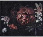 Πατάκι Εισόδου Walk & Wash 900 Bella Rosa 67X80cm Black-Red Sdim 67X80