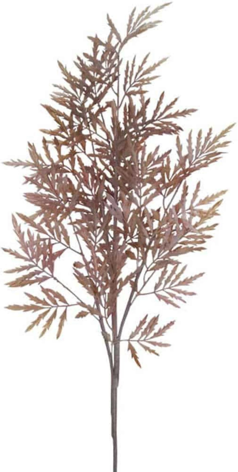 Τεχνητό Κλαδί Φτέρη 00-00-6141 70x113cm Brown Marhome Foam