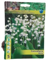 Μιγκέ Convallaria ριζώματα 2 τεμ.