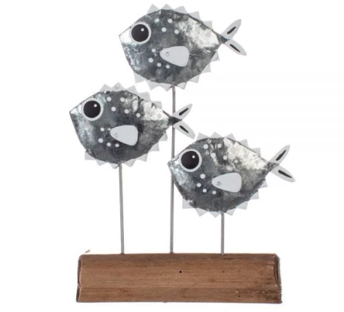 ΣΧΟΛΕΙΟ ΨΑΡΙΩΝ ΦΟΥΣΚΕΣ ΑΣΗΜΙ 11ΕΚ.