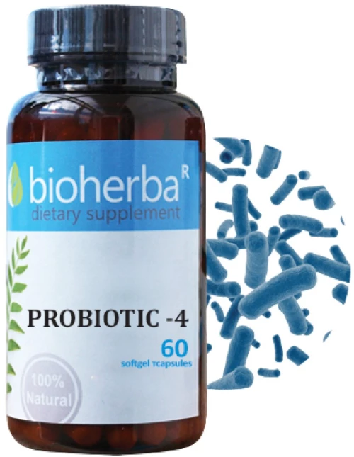 Bioherba Probiotic -4 [60 Κάψουλες]