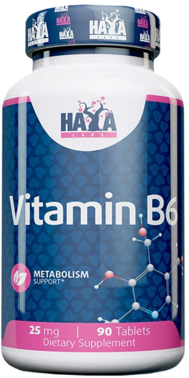 Haya Labs Vitamin B6 25 mg [90 Ταμπλέτες]
