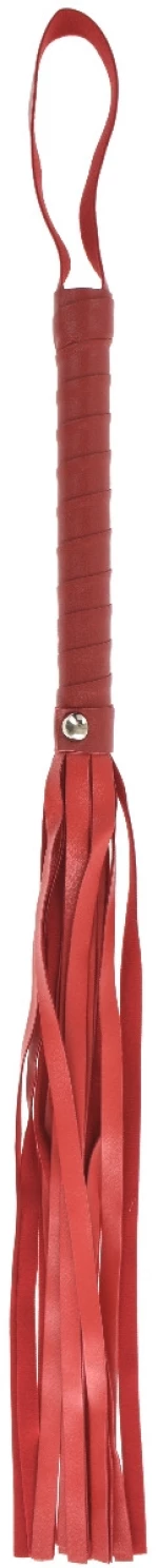 Red Bike Ecological Leather