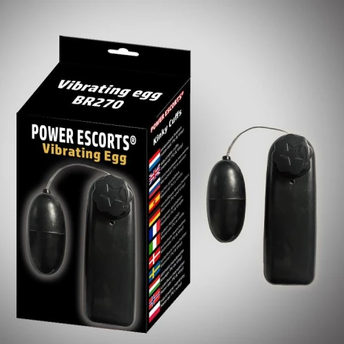 Vibrating egg