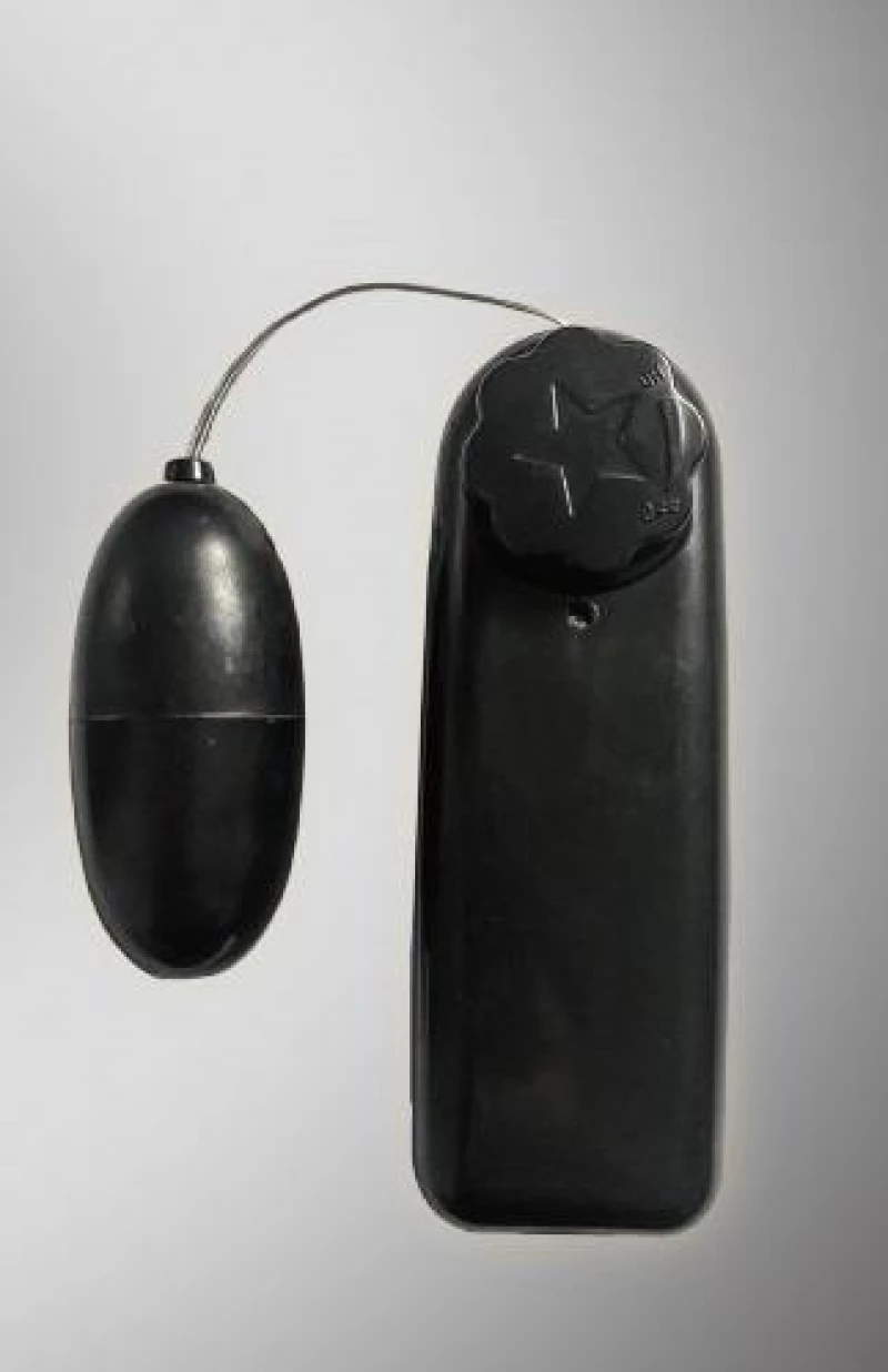 Vibrating egg