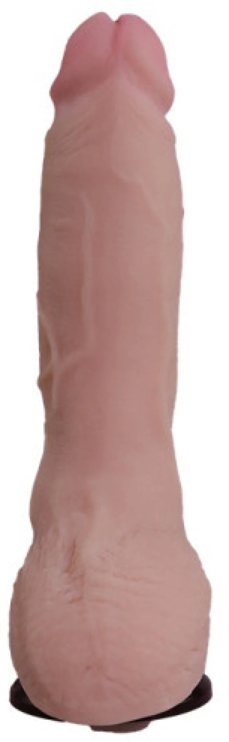 TOYBOY BENJAMIN Realistic TPE suction dildo Vibrator 25 cm