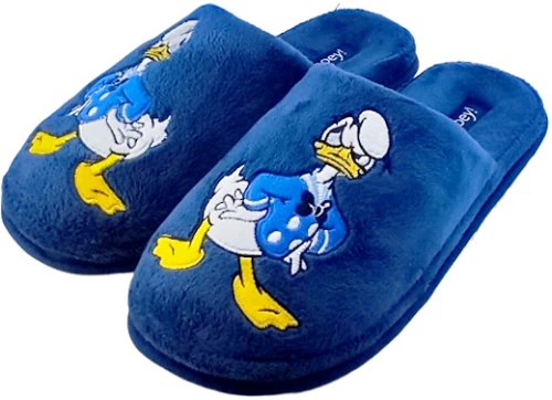 UNISEX ΕΦΗΒΙΚΗ ΠΑΝΤΟΦΛΑ PAREX DONALD flat ΜΠΛΕ
