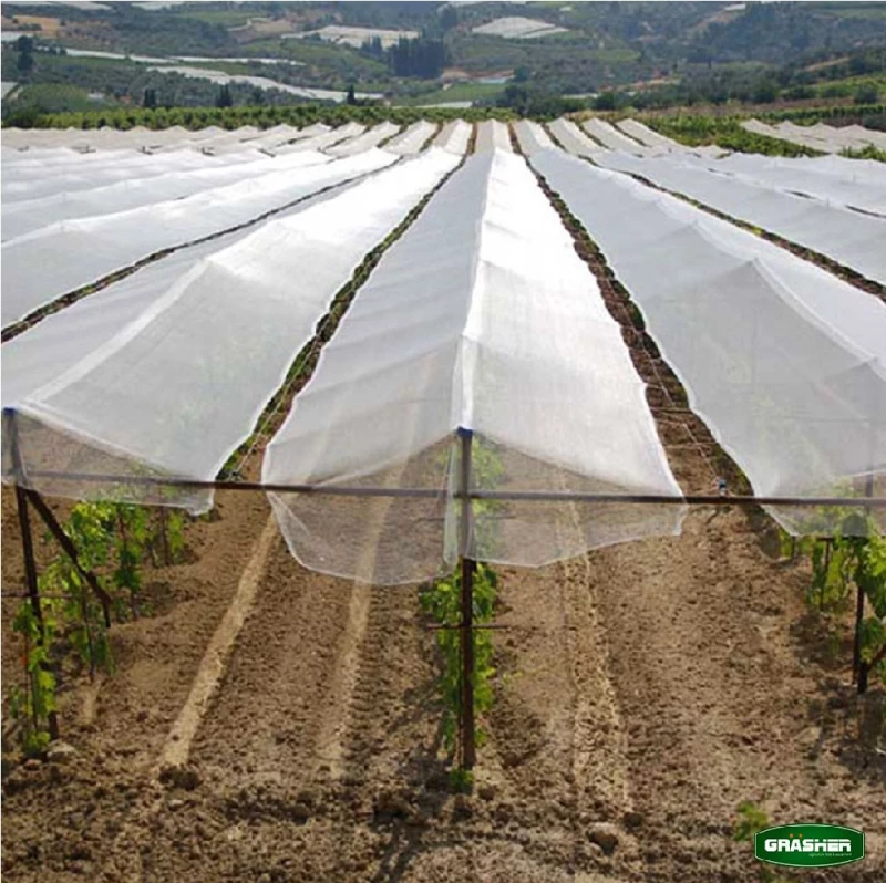 GRASHER Αντιχαλαζικό Δίχτυ 205 x 100m