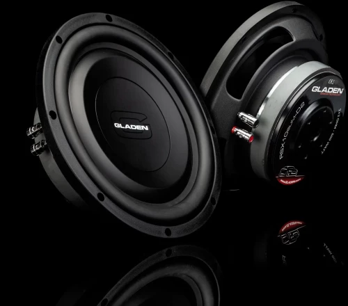 RS-X 10 SLIM D2