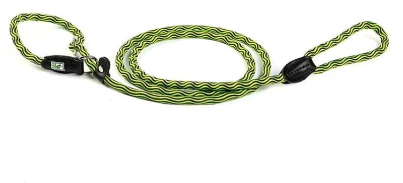 KIWI Έξυπνος 2 σε 1 Οδηγός Βόλτας Πράσινο/Μαύρο M 10mm 180cm