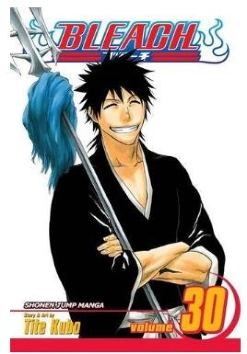 Viz Bleach Vol. 30 Paperback Manga