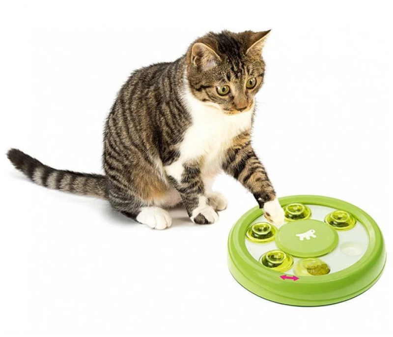 Discover - Toy For Cat