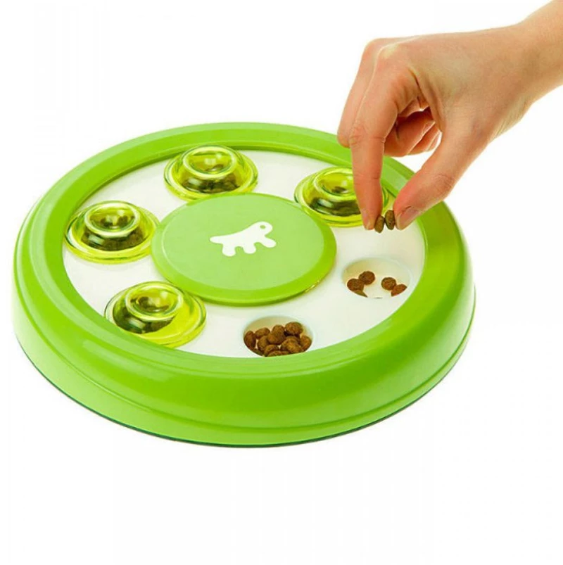 Discover - Toy For Cat