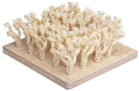 Bunny Snuffleboard Διαδραστικό Παιχνίδι