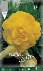 Μπιγόνια "Double Yellow"