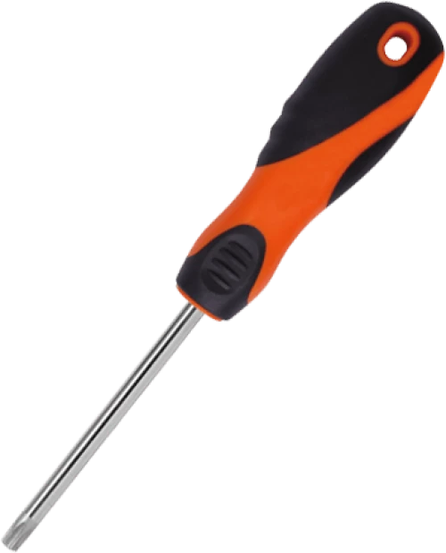 SCREWDRIVER T10X100mm
