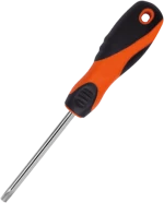 SCREWDRIVER T10X100mm