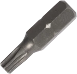 BIT T8X25mm 2pcs