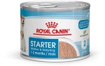ROYAL CANIN STARTER MOUSSE 195GR