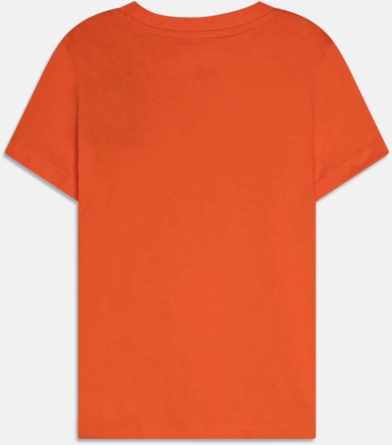 PUMA GRAPHIC TEE (673202-23)
