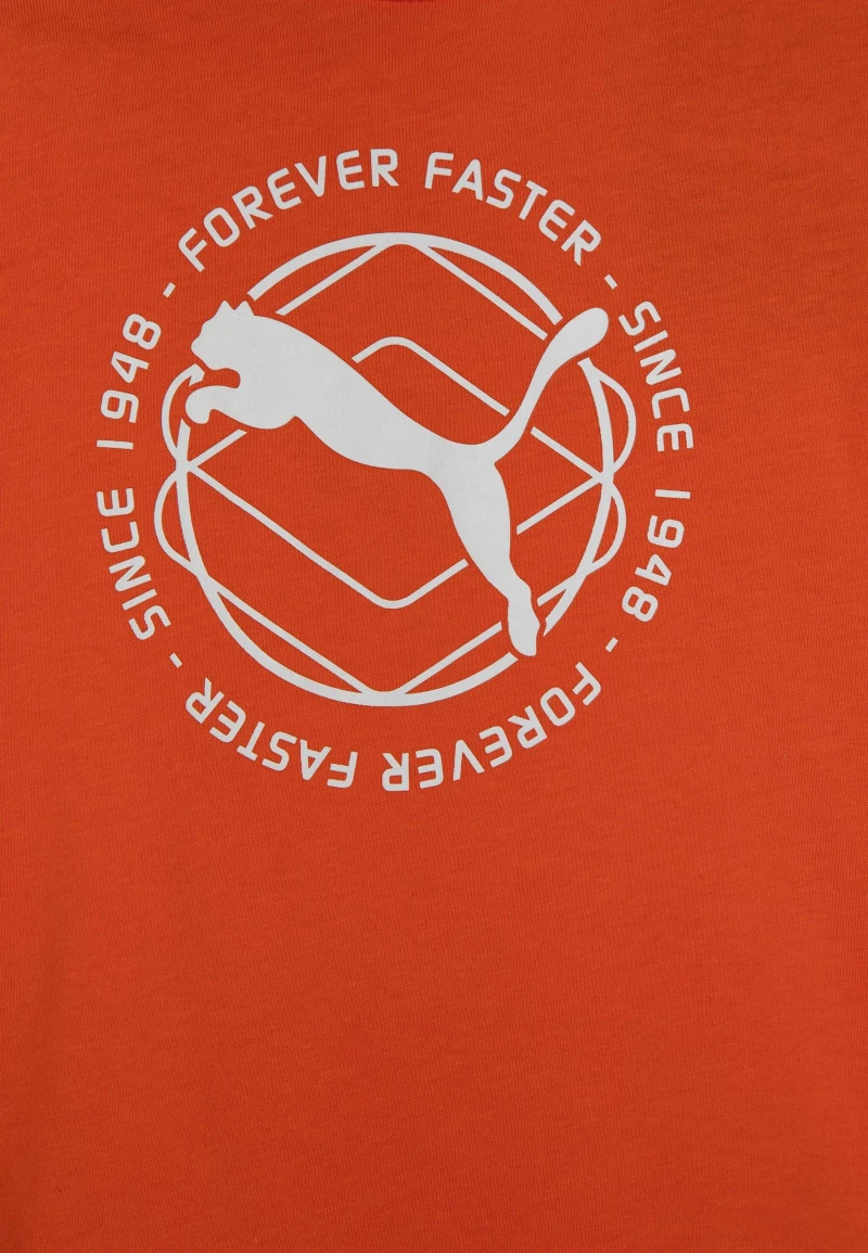 PUMA GRAPHIC TEE (673202-23)