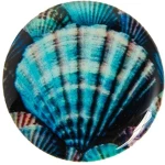 POP HOLDER BLUE SHELL 112.0076