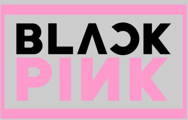 Black Pink Logo W Φούτερ Με Κουκούλα - WHITE