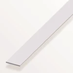 Βέργα Πλακέ Αλουμινίου 100x20x0.2mm