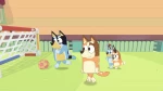 Bluey : The Videogame / PlayStation 5