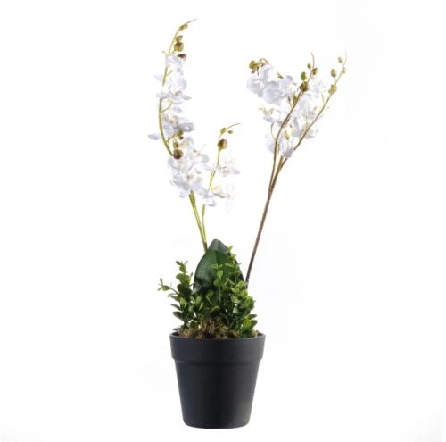 Τεχνητό Φυτό Ορχιδέα Phalaenopsis 50 εκ. 2670-6 Supergreens 2670-6 Λευκό