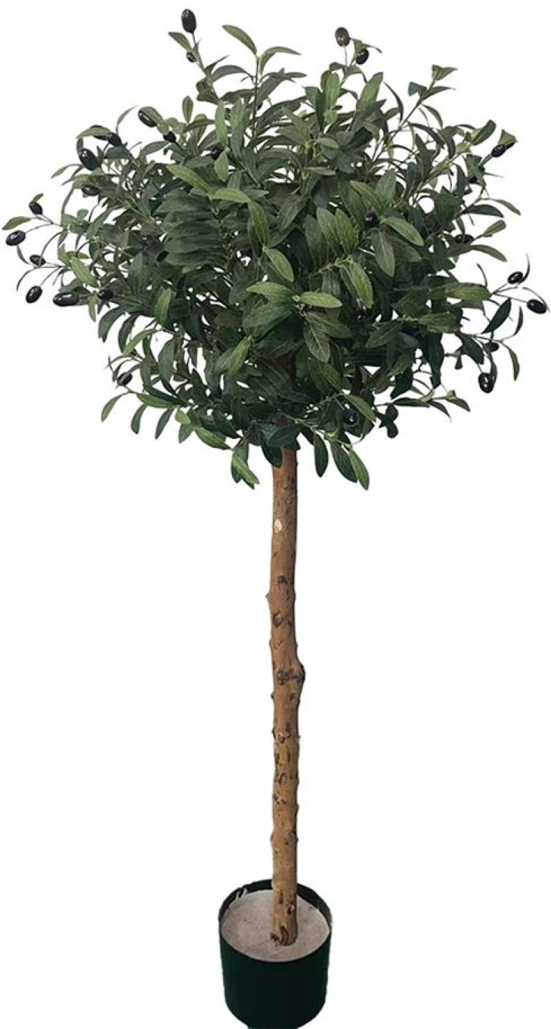 OLIVE TREE NP5807_150_22_UV ΥΨΟΣ 150cm NewPlan - -