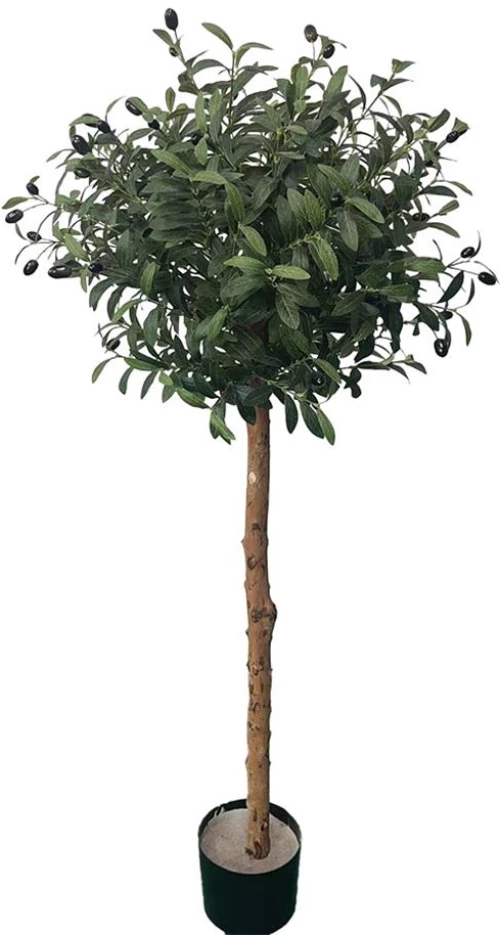 OLIVE TREE NP5807_150_22_UV ΥΨΟΣ 150cm NewPlan - -