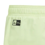 adidas Dy Mic Swim Sho IT8615 ADIDAS Γκρι