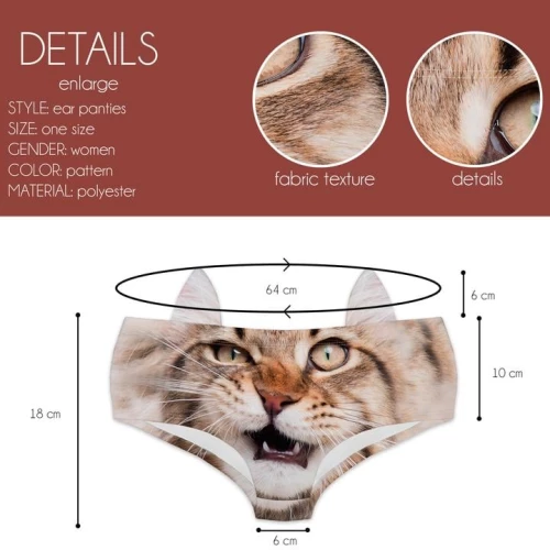 PTC 46728 Maine Coon